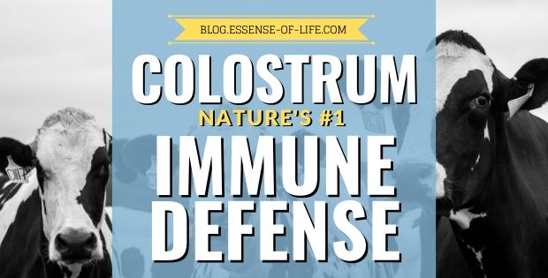 Colostrum Nature's #1 Immune Defense