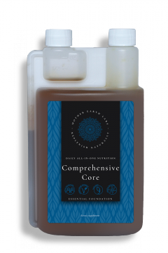Comprehensive Core Essential Foundation